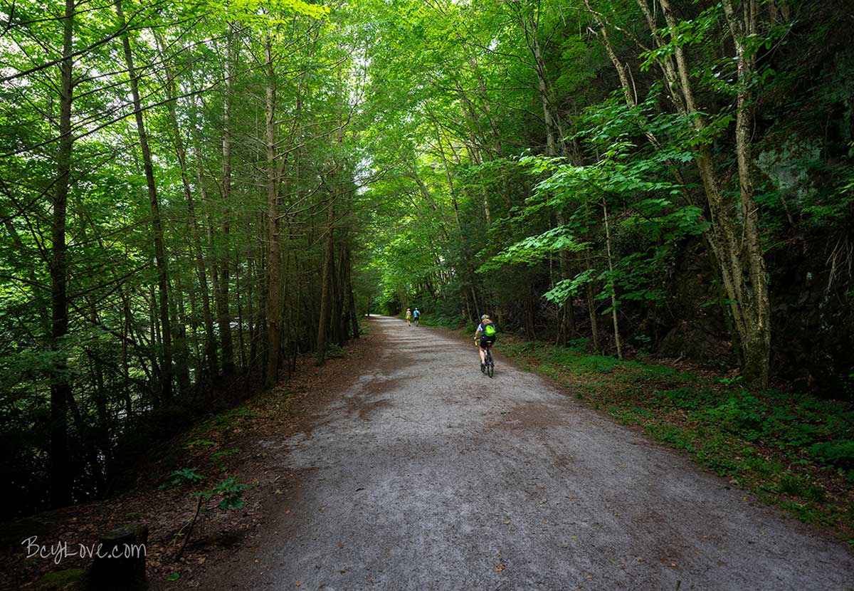 Path leading to Buttermilk Falls